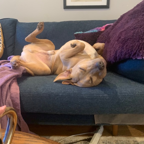 Poshmark profile - Picture 3 of 3